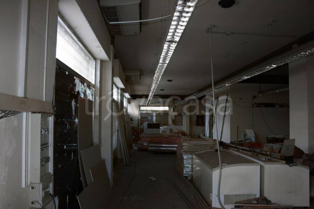 immagine annuncio 4 di 12