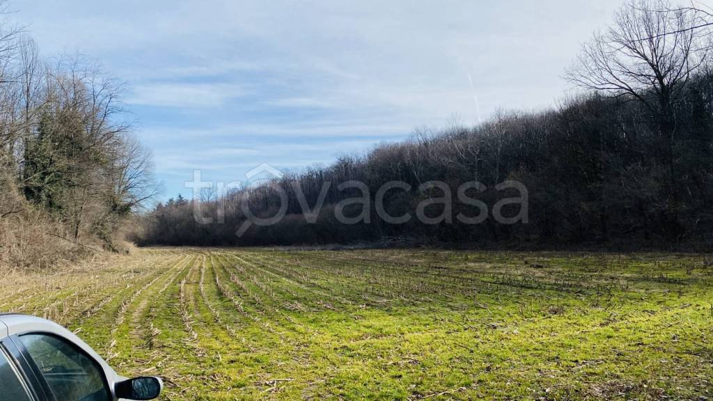 immagine annuncio 6 di 12