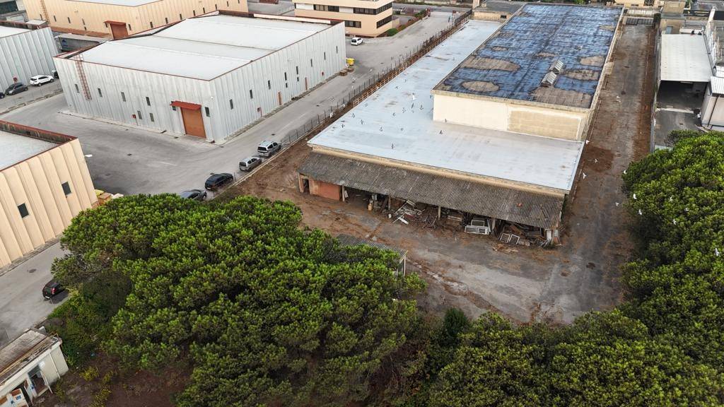 immagine annuncio 10 di 15