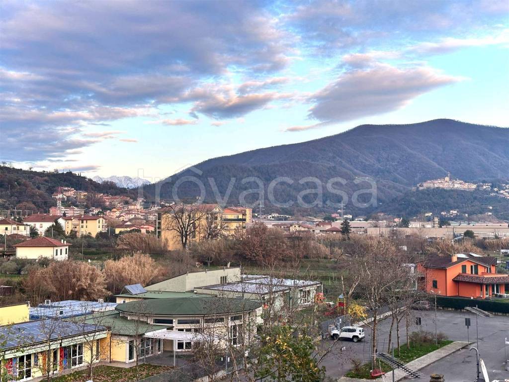 immagine annuncio 12 di 13