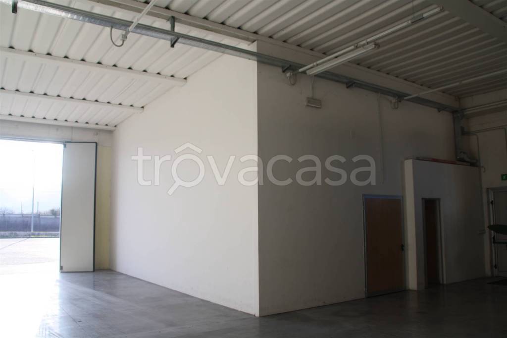 immagine annuncio 4 di 9