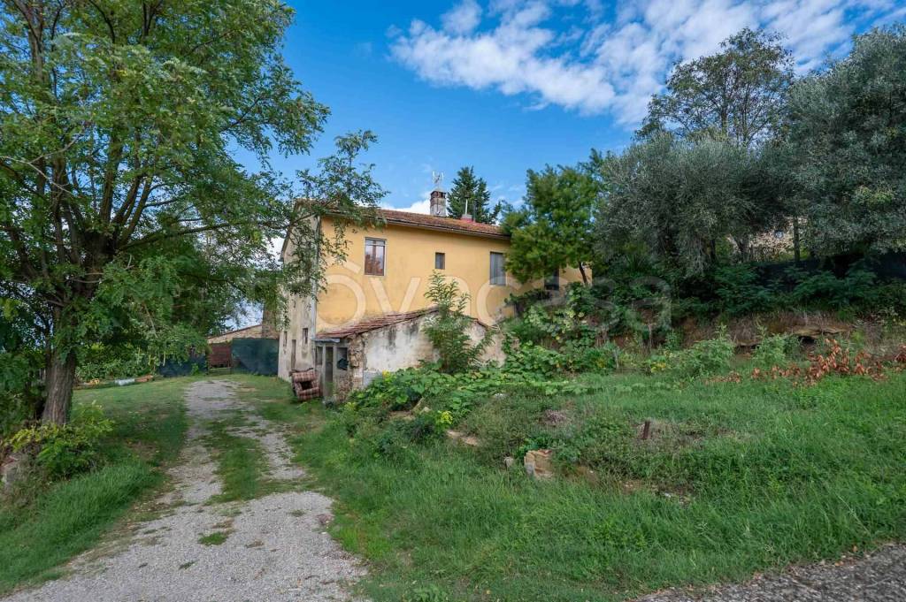 immagine annuncio 3 di 6