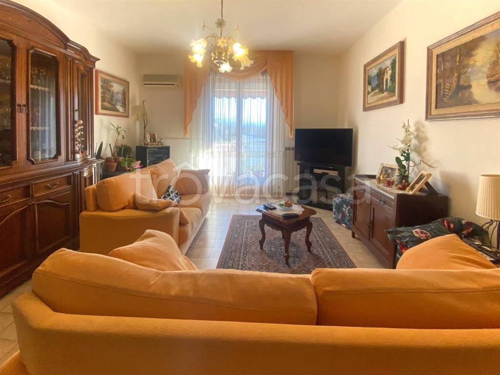 immagine annuncio 2 di 11