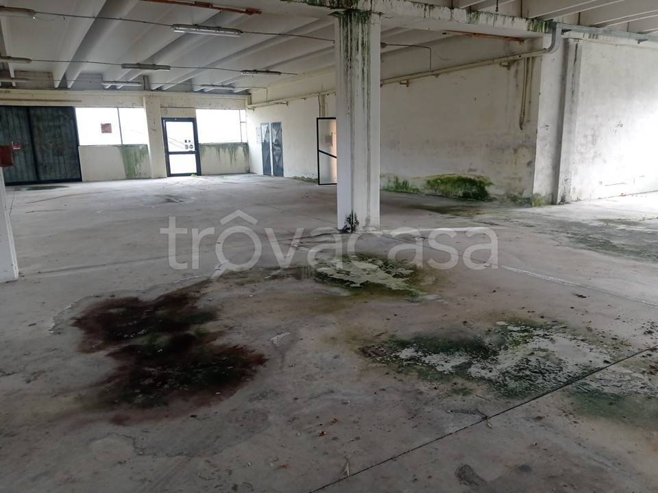 immagine annuncio 4 di 8