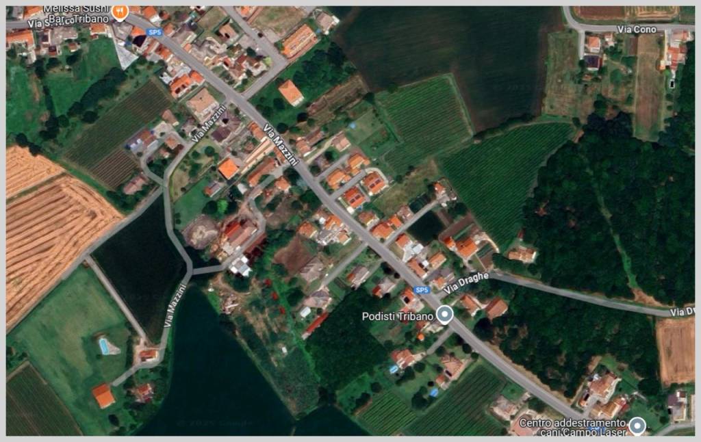 immagine annuncio 9 di 15