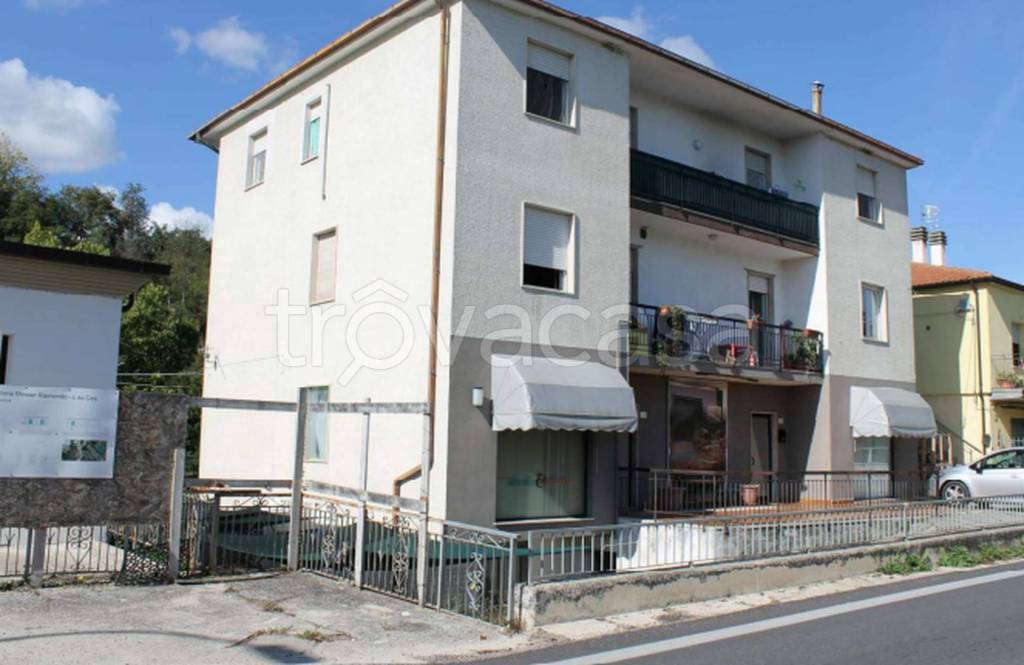 immagine annuncio 8 di 11