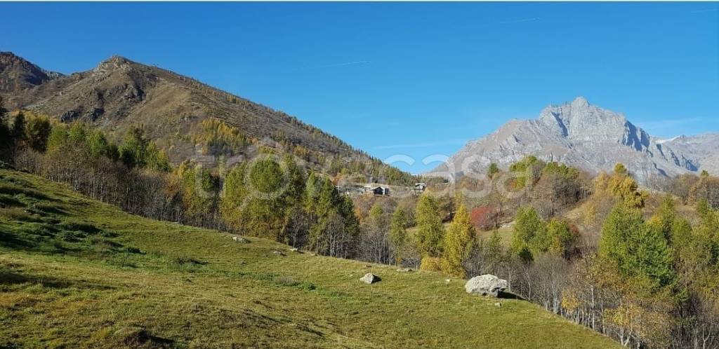 immagine annuncio 11 di 13