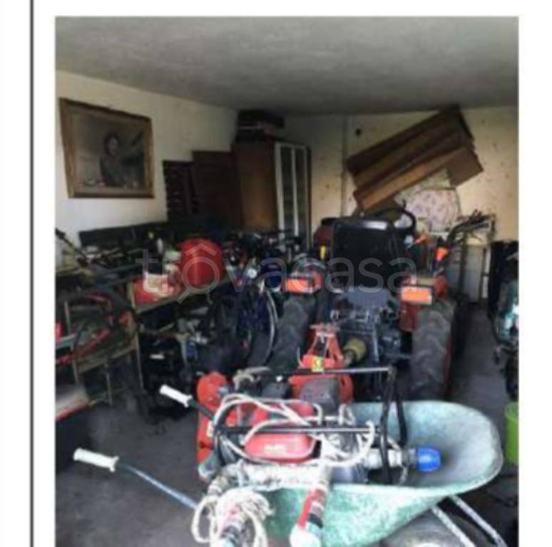 immagine annuncio 3 di 12