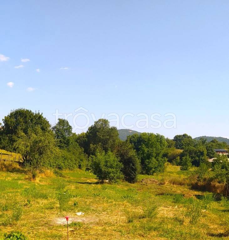 immagine annuncio 7 di 8