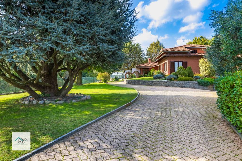 immagine annuncio 6 di 15