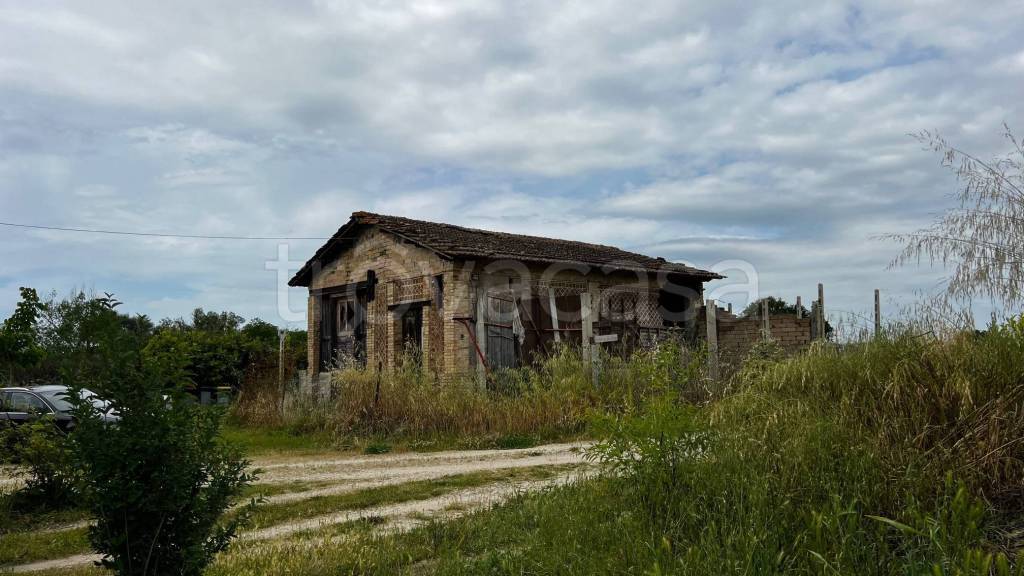 immagine annuncio 3 di 8