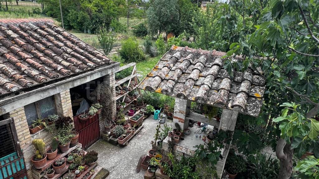immagine annuncio 4 di 8