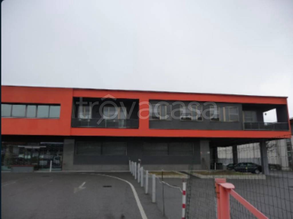 immagine annuncio 1 di 11