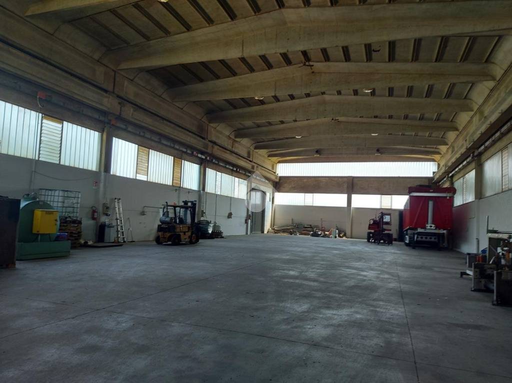 immagine annuncio 6 di 15