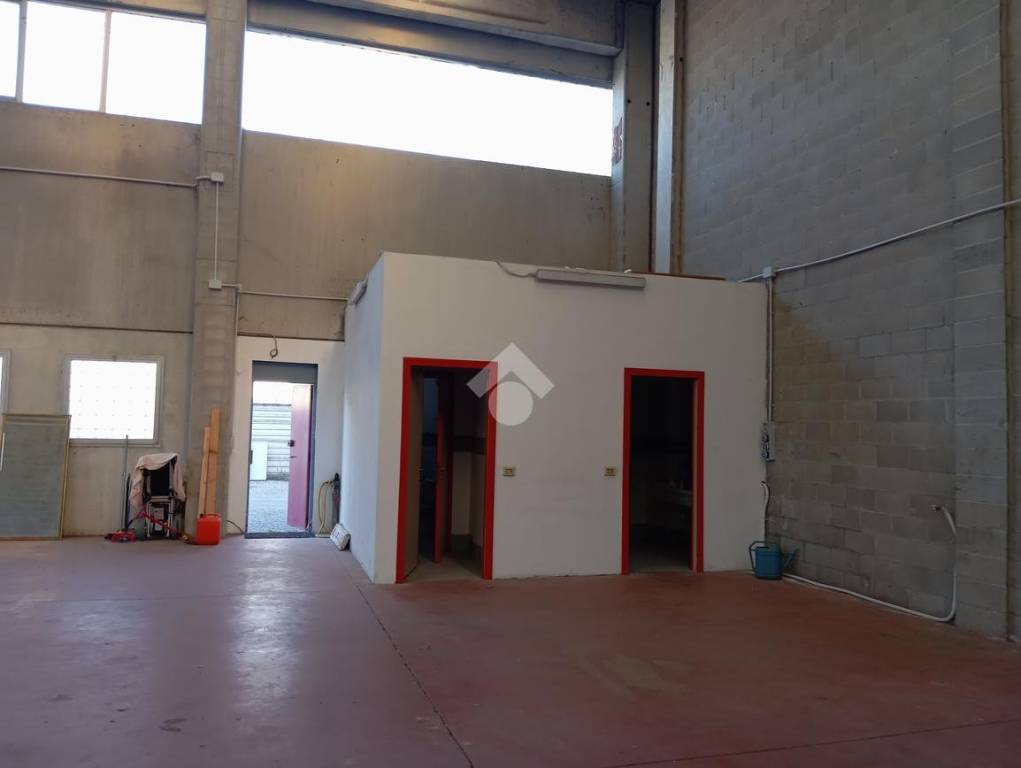 immagine annuncio 9 di 15