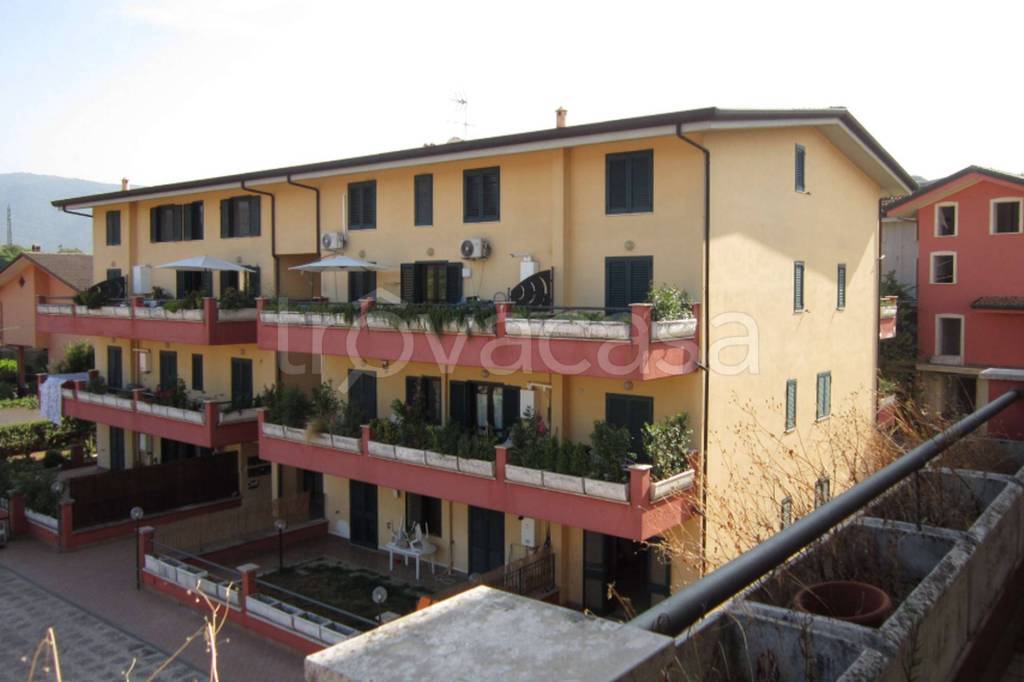 immagine annuncio 5 di 14