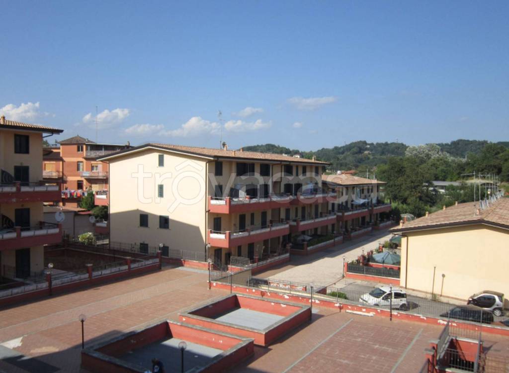 immagine annuncio 7 di 14
