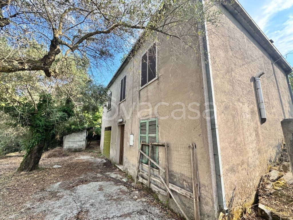 immagine annuncio 2 di 14