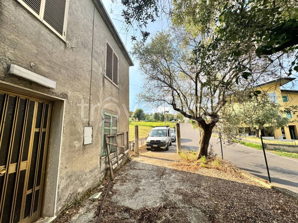 immagine annuncio 3 di 14