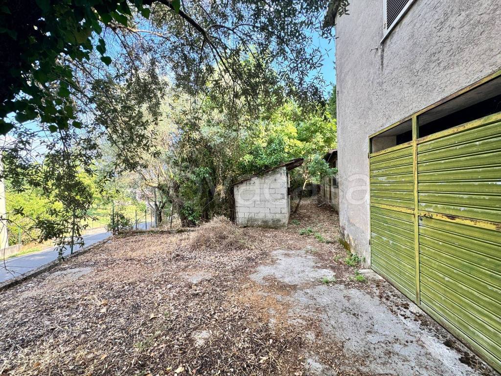 immagine annuncio 4 di 14