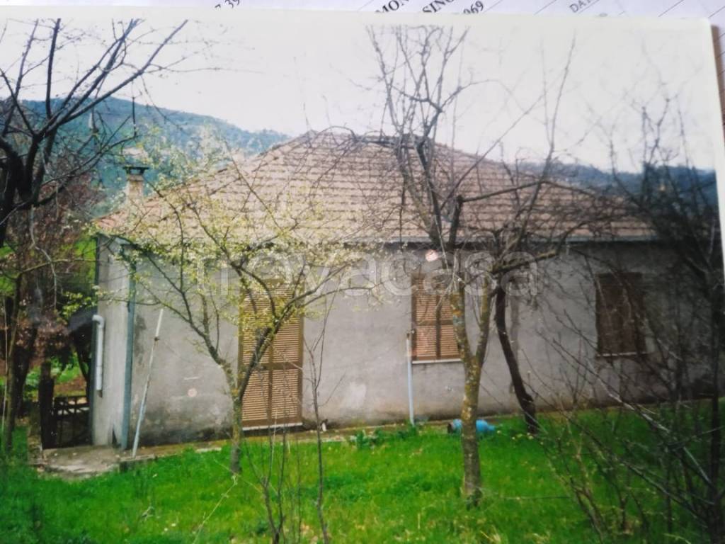 immagine annuncio 5 di 14