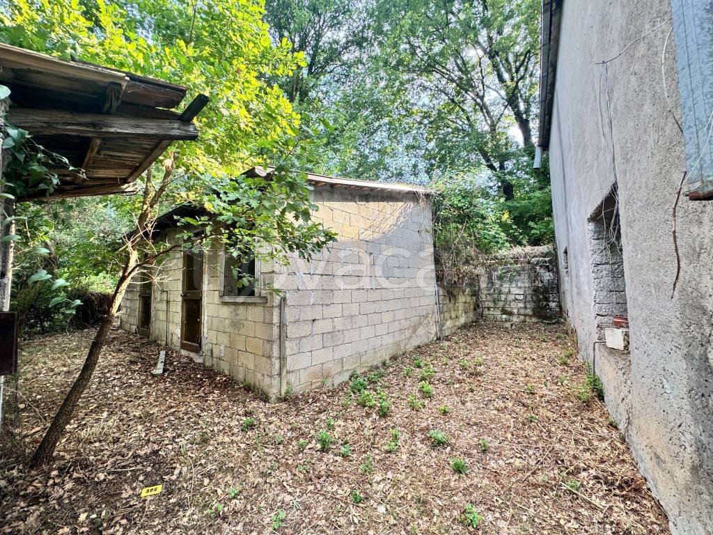 immagine annuncio 7 di 14