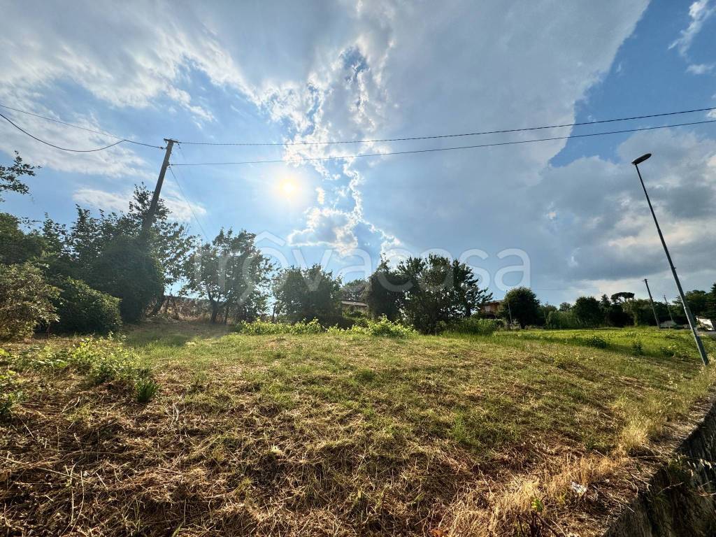 immagine annuncio 8 di 14