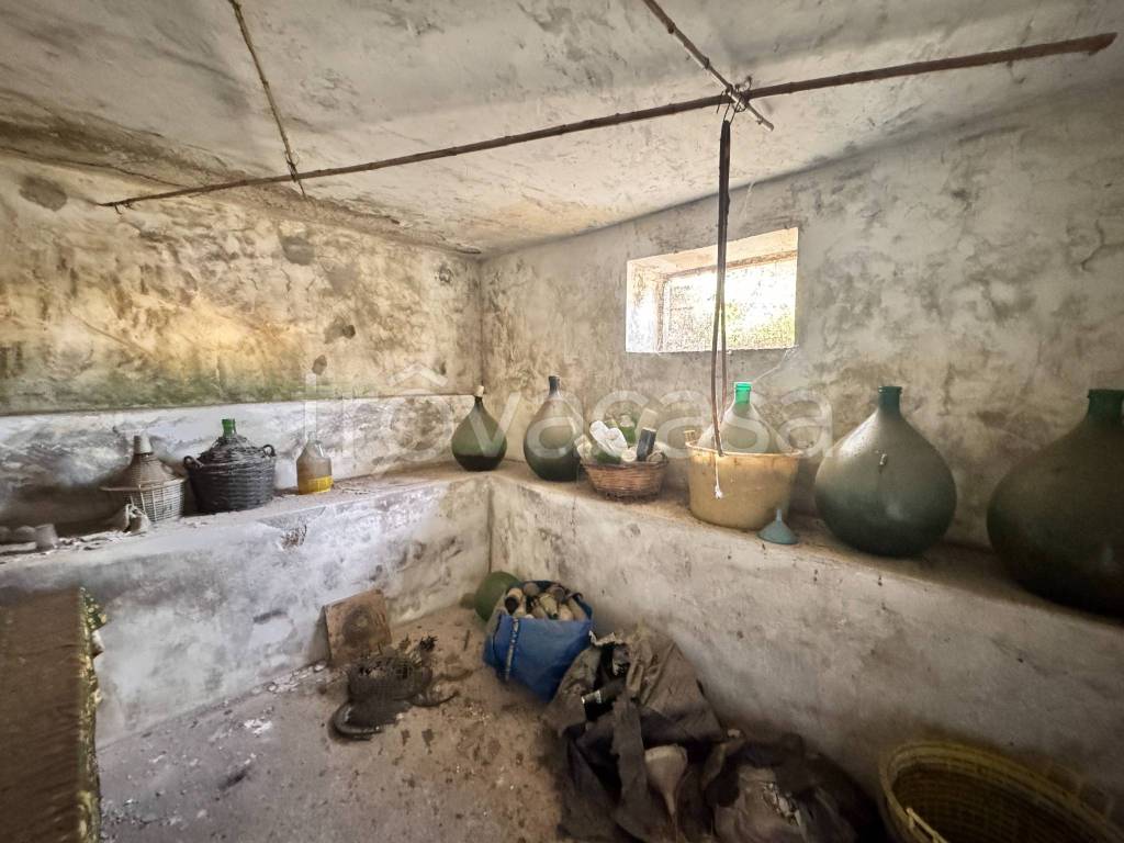 immagine annuncio 13 di 14