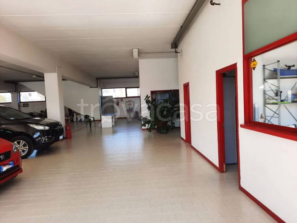 immagine annuncio 1 di 8