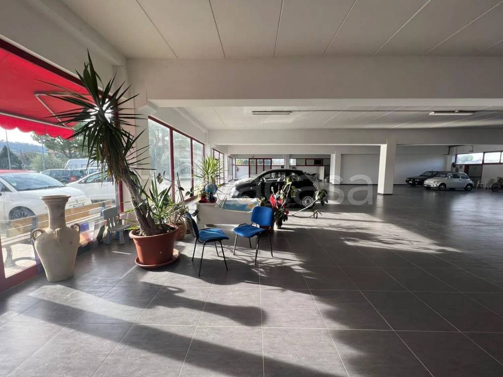 immagine annuncio 2 di 8