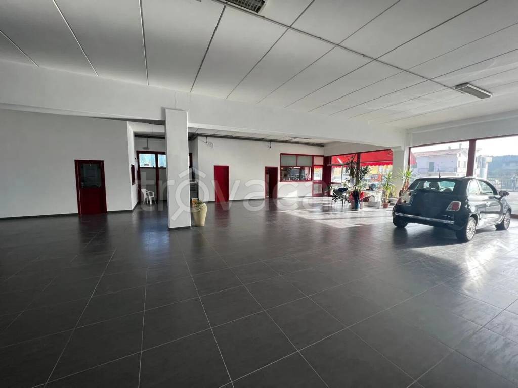 immagine annuncio 3 di 8