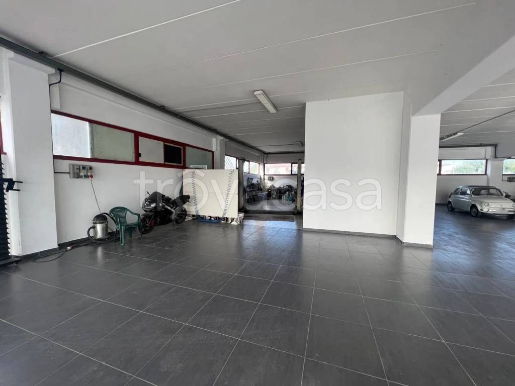 immagine annuncio 4 di 8