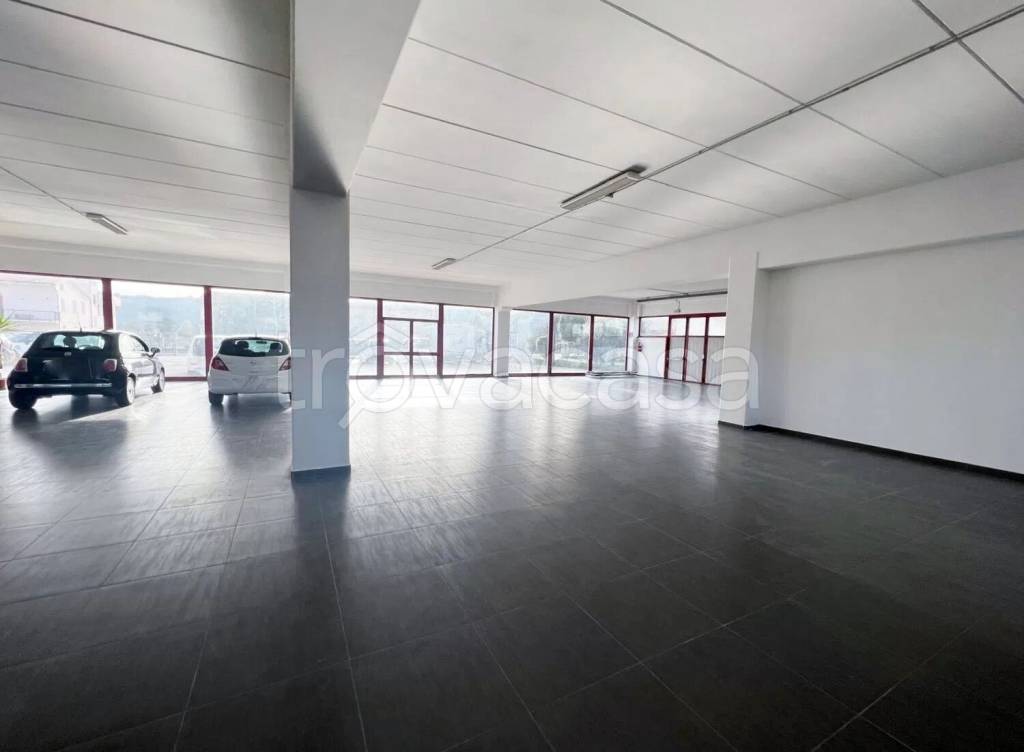 immagine annuncio 5 di 8