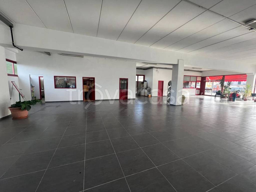 immagine annuncio 6 di 8