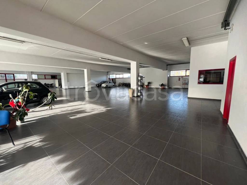 immagine annuncio 7 di 8