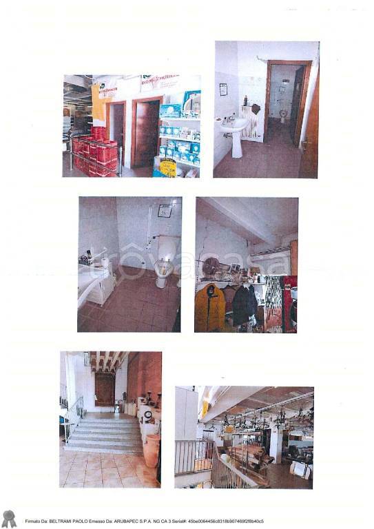 immagine annuncio 5 di 11