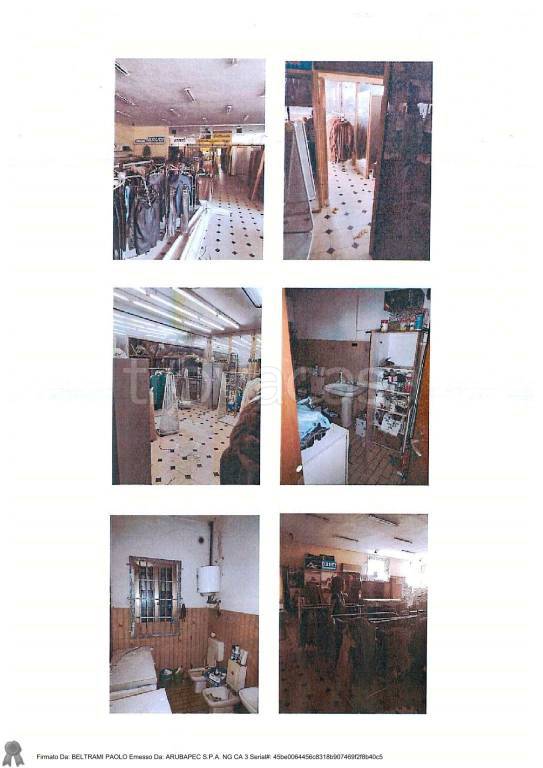 immagine annuncio 10 di 11