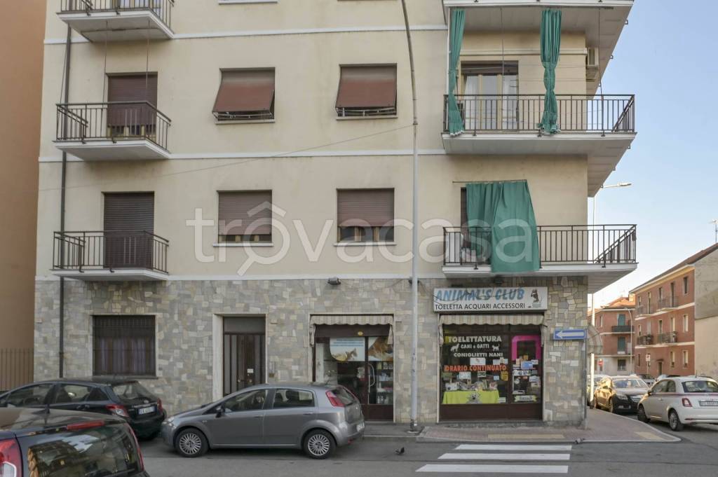 immagine annuncio 1 di 15