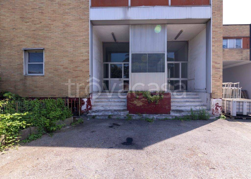 immagine annuncio 1 di 6