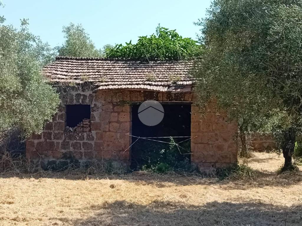 immagine annuncio 13 di 14