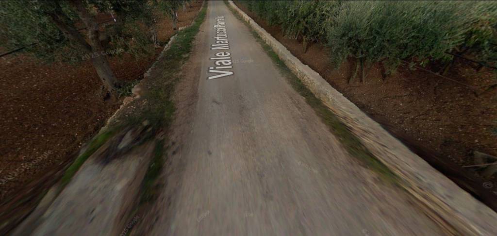 immagine annuncio 3 di 11