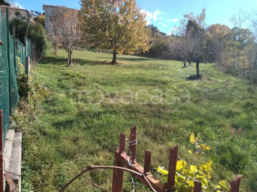 immagine annuncio 6 di 13