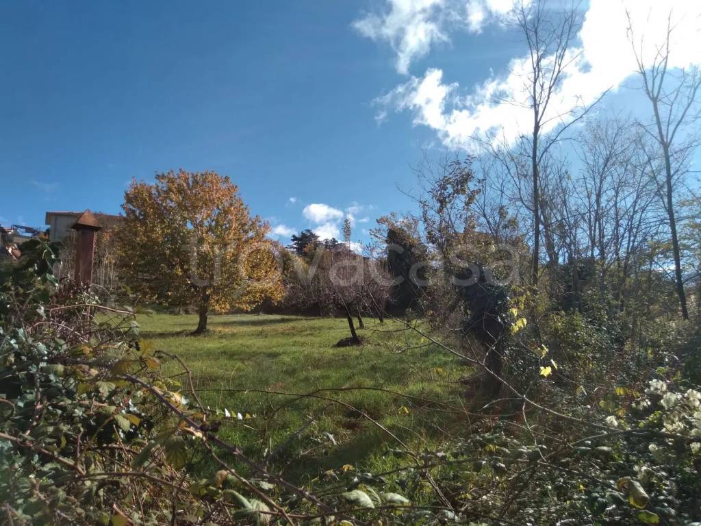 immagine annuncio 11 di 13