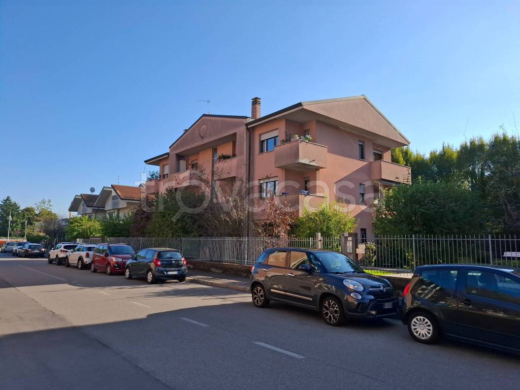 immagine annuncio 6 di 15