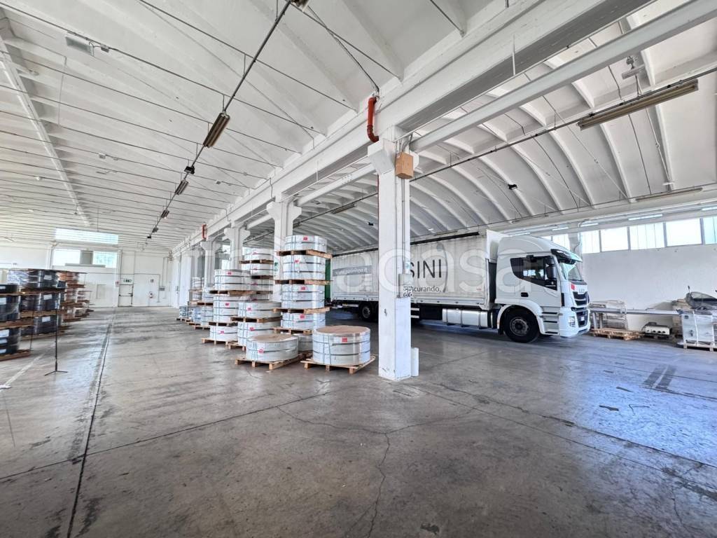 immagine annuncio 3 di 8