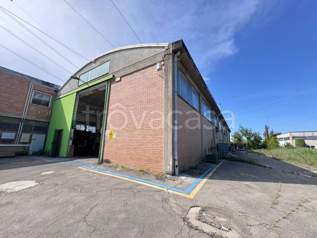 immagine annuncio 5 di 8