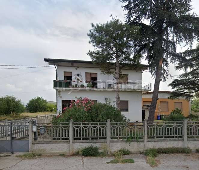 immagine annuncio 4 di 14