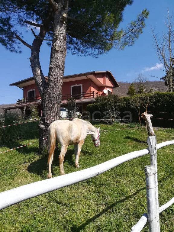 immagine annuncio 2 di 9