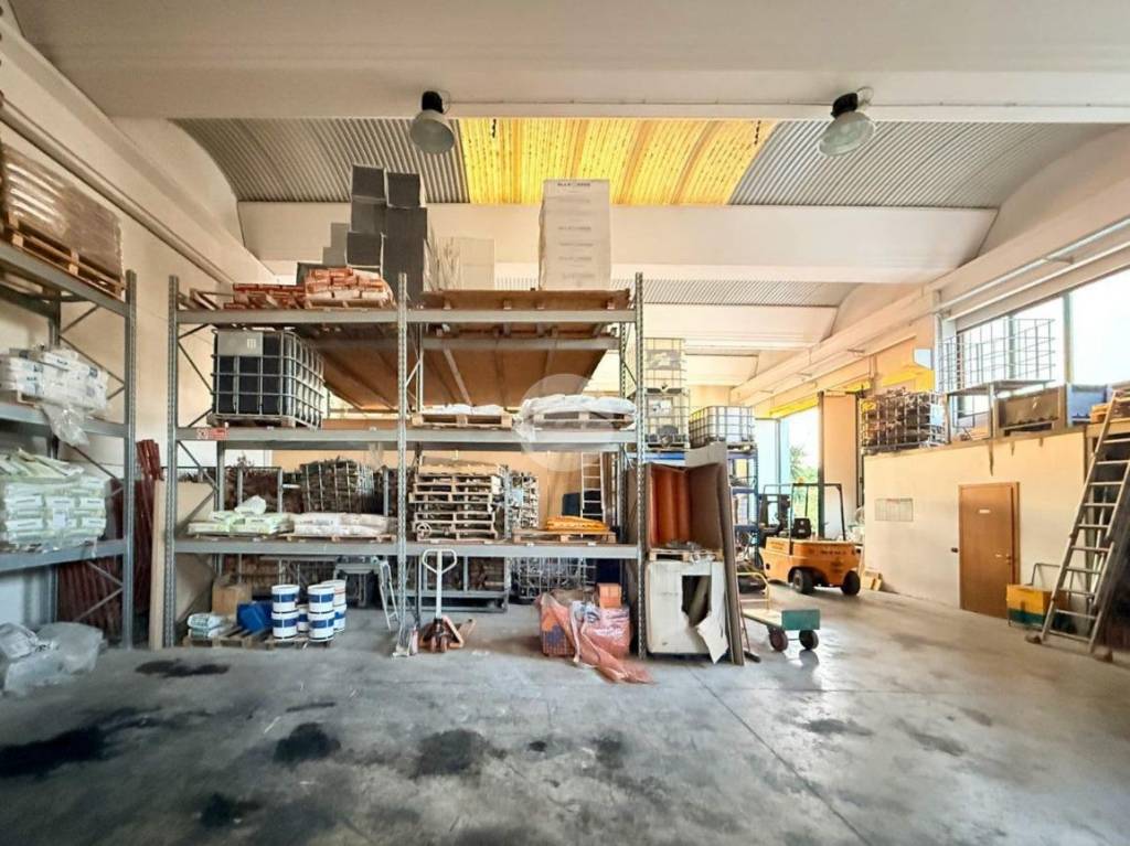 immagine annuncio 2 di 15