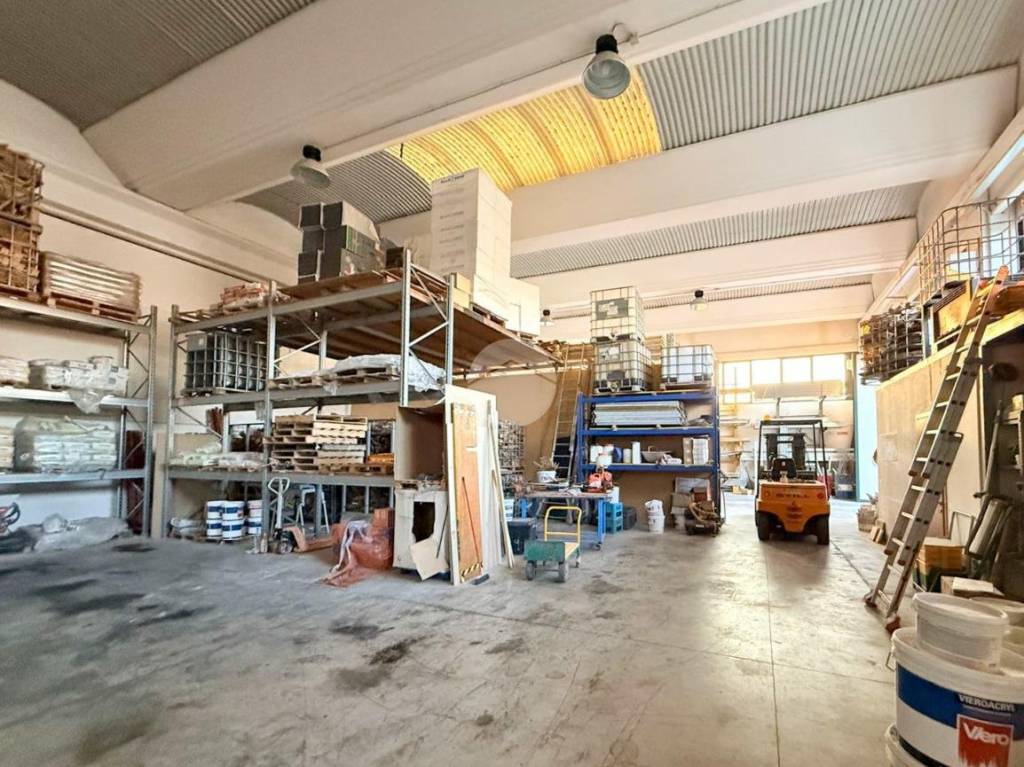 immagine annuncio 3 di 15